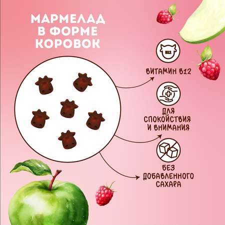 Мармелад фруктово-ягодный REEEL Яблоко-Малина с витамином В12 для питания детей старше 3-х лет 15г
