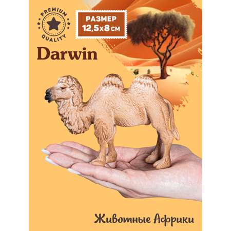 Фигурка DARWIN Животные Двугорбый верблюд