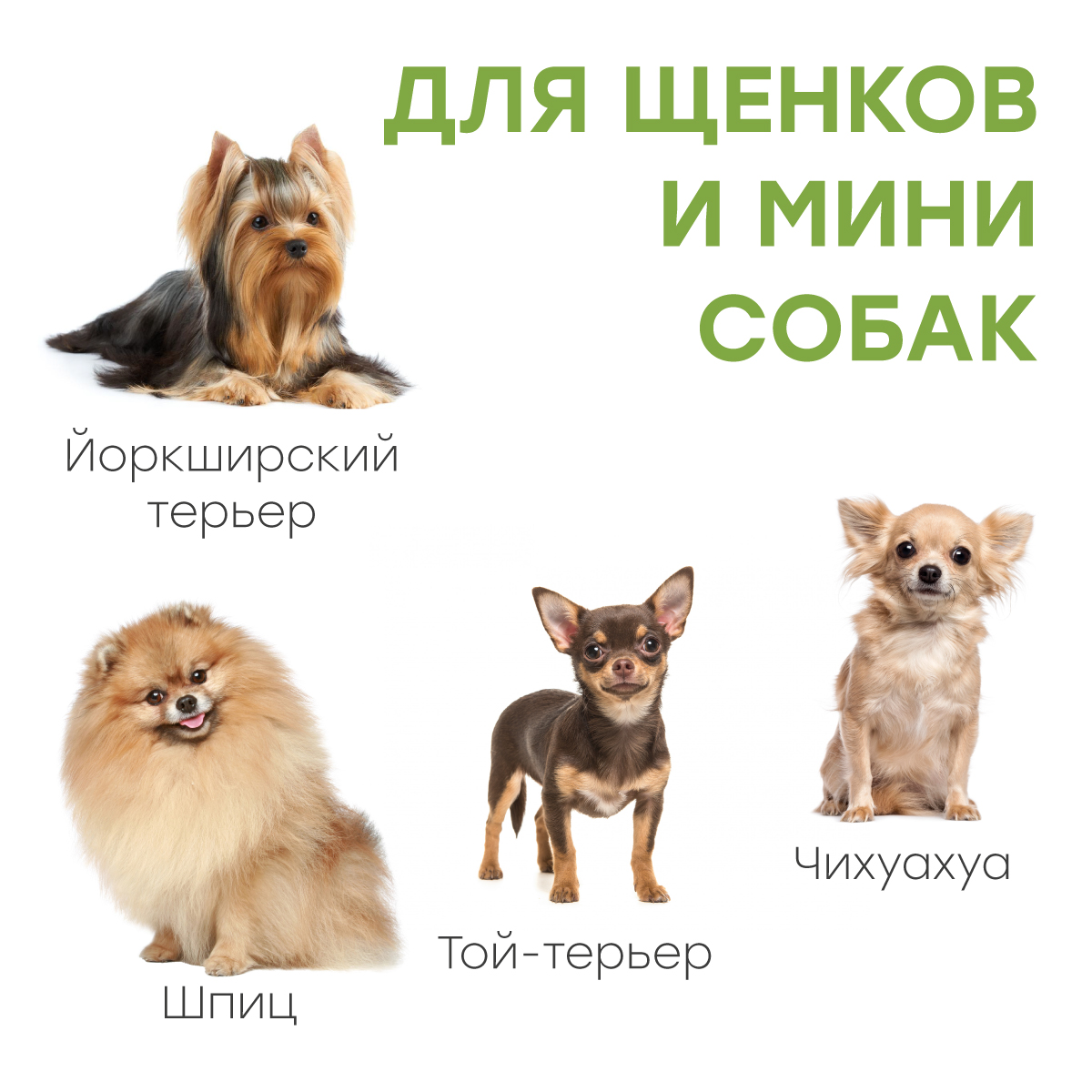 Туалет лоток для собак Stefan с сеткой мини XS 46х34см бирюзовый - фото 4