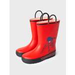 Резиновые сапоги PlayToday