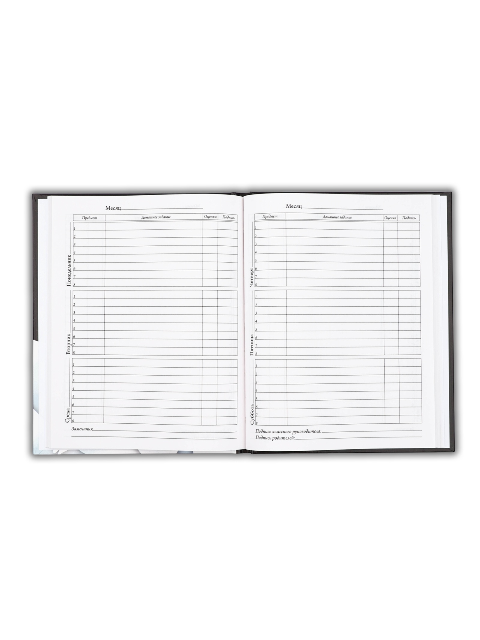 Дневник ArtFox STUDY школьный для 5-11 класса - фото 3