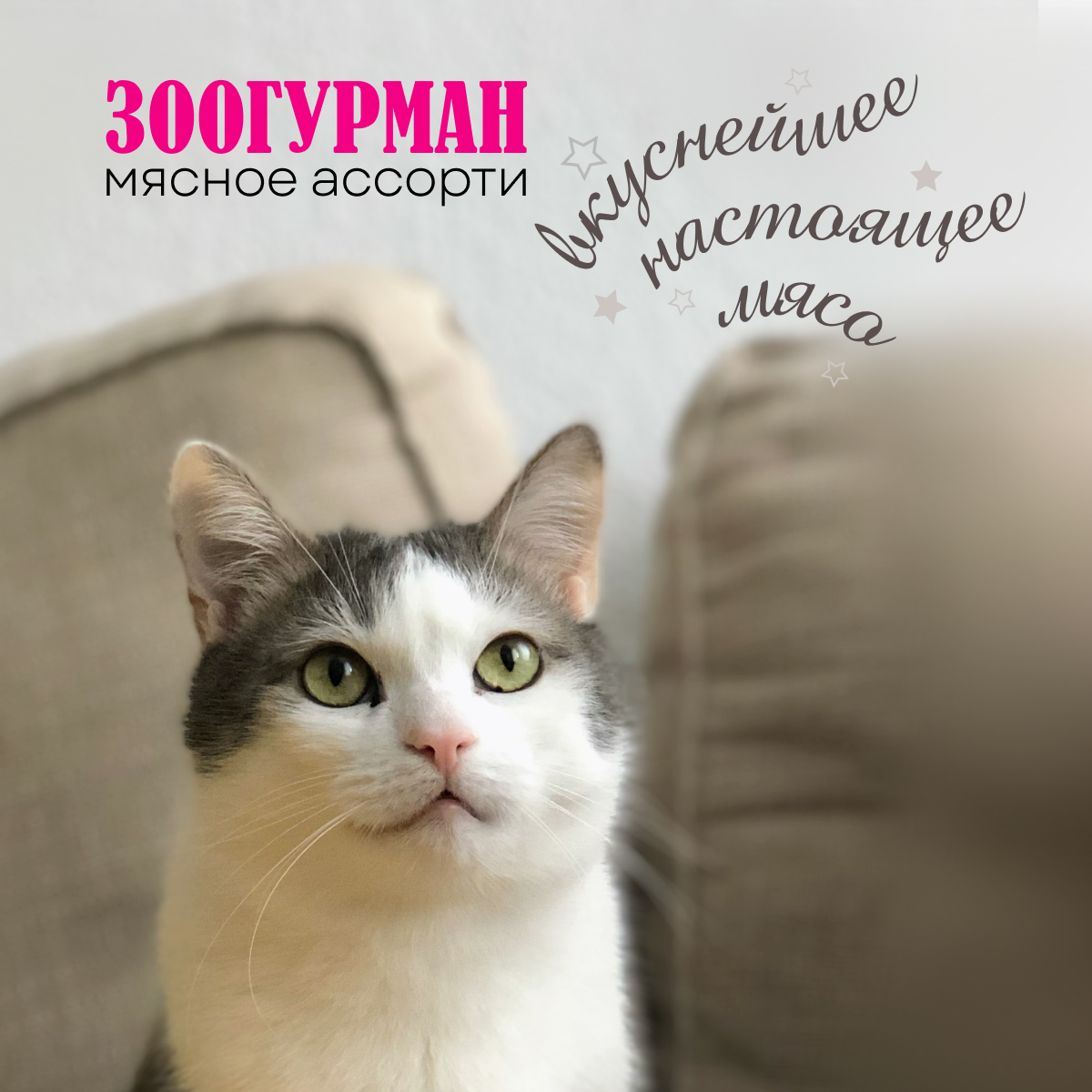 Корм влажный Зоогурман Телятина с языком для кошек жестяная банка 100 гр х 24 шт - фото 7