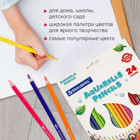 Карандаши акварельные Brauberg 24 шт.
