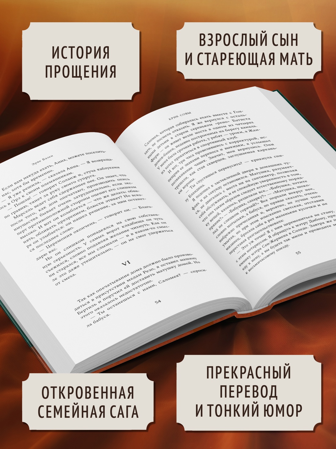 Книга КОЛИБРИ Базен Э Крик совы - фото 5