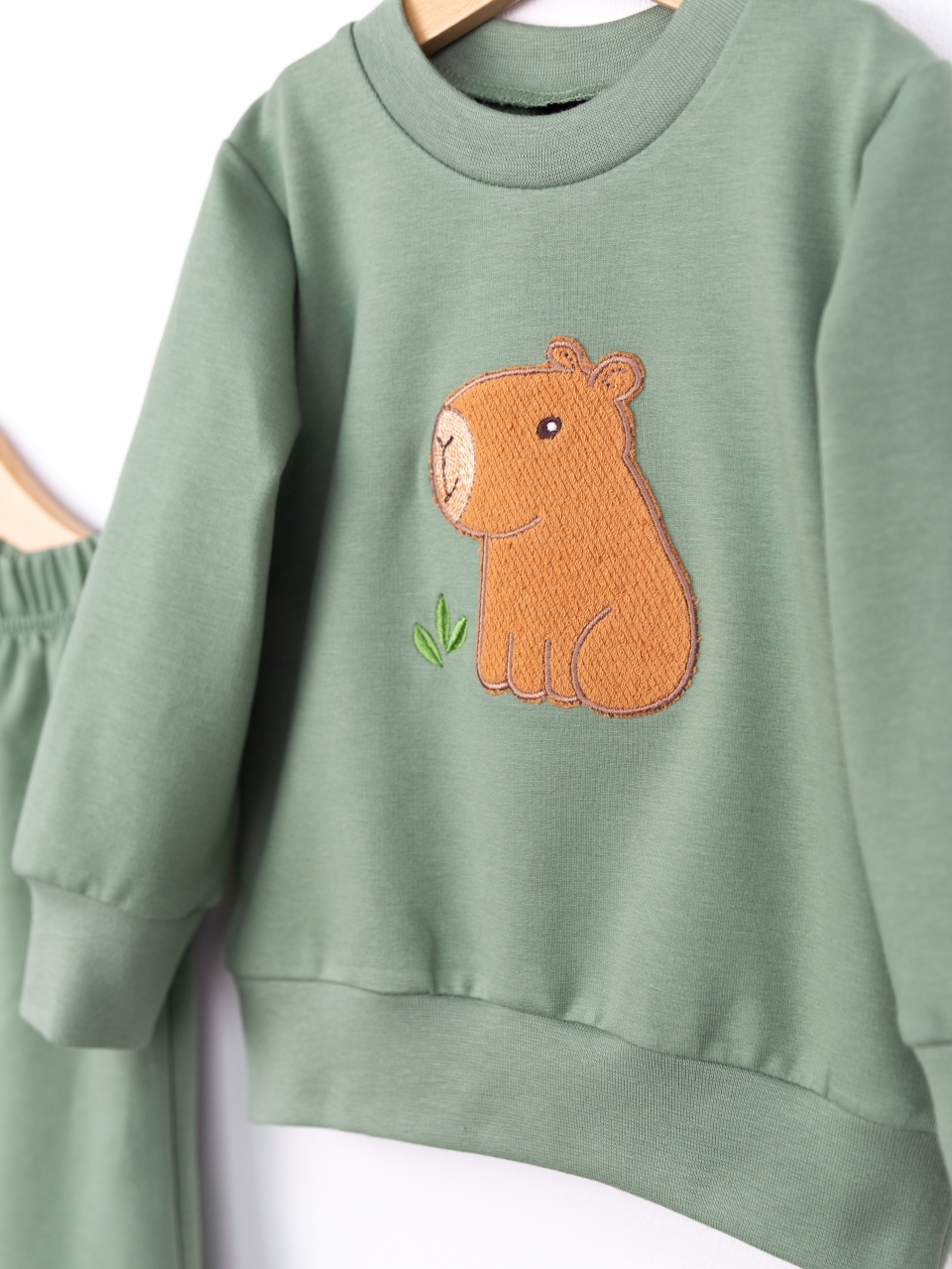 Костюм Baby boom КД568/1-Ф2 аппликация капибара полынь - фото 3