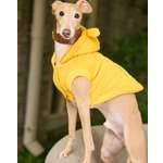 Жилет для собак и кошек Зоозавр