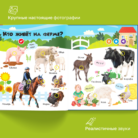 Комплект говорящих книжек BertToys Нажималки: Животные + Я и Мир Вокруг