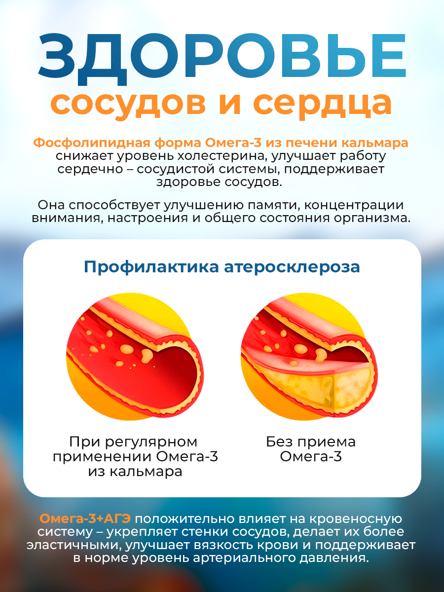Омега-3 из печени кальмара + АГЭ Доктор Море Для кожи волос и ногтей сердца и сосудов иммунной и нервной системы - фото 8