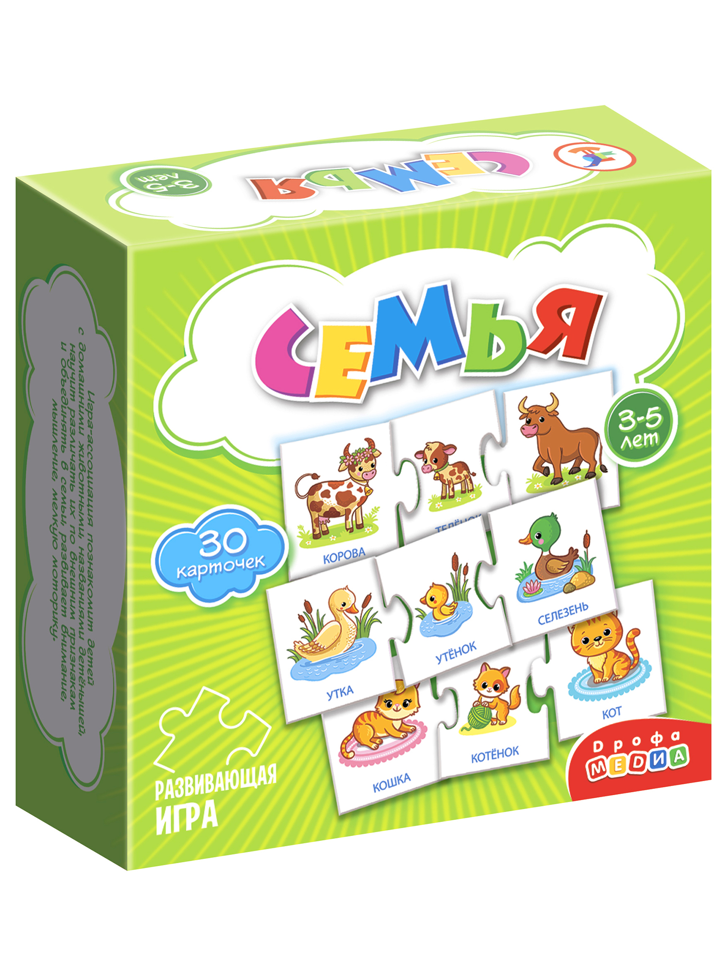 Игра развивающая Дрофа-Медиа Семья 4209 - фото 9