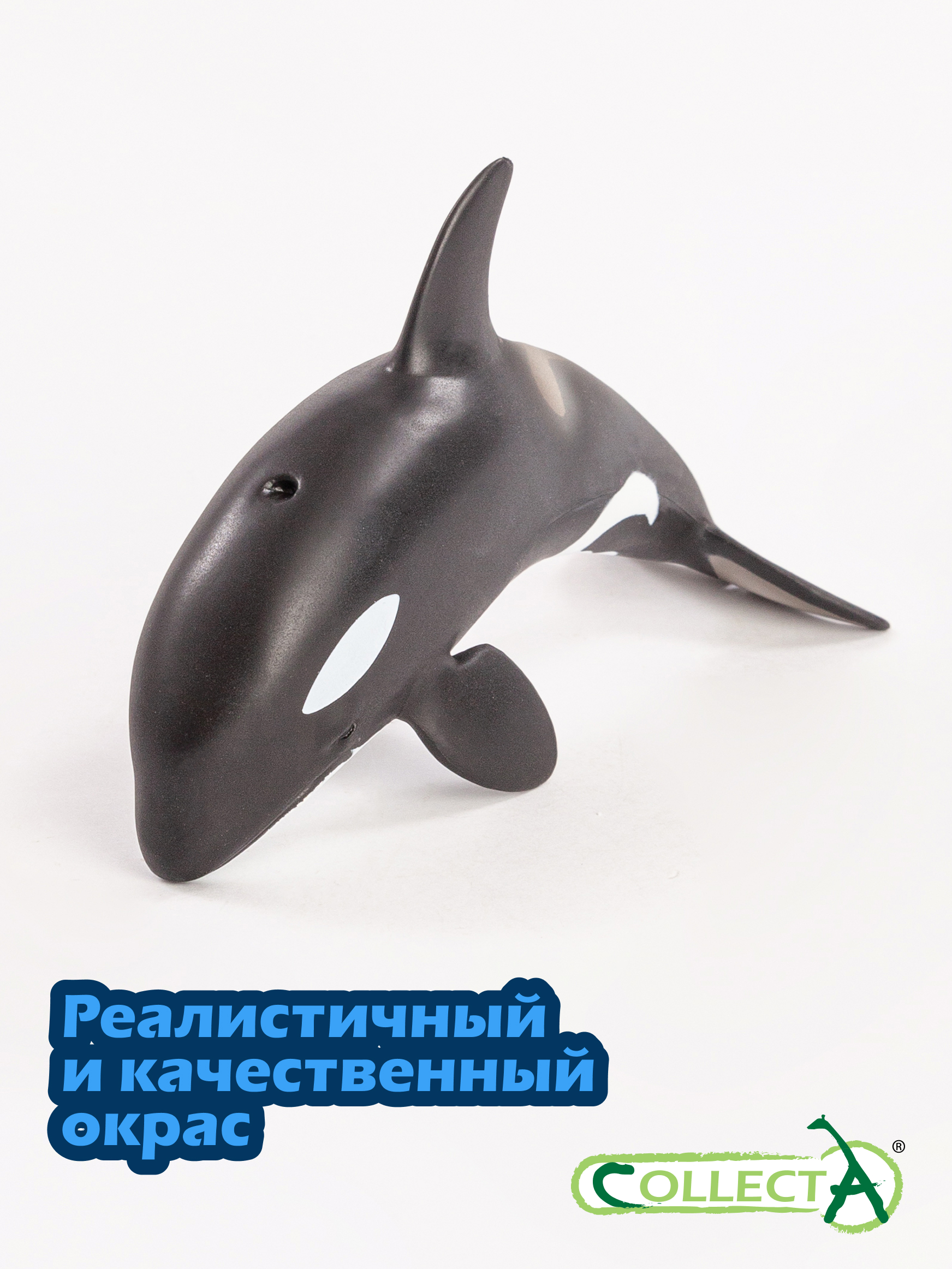 Фигурка Collecta Детёныш косатки - фото 4