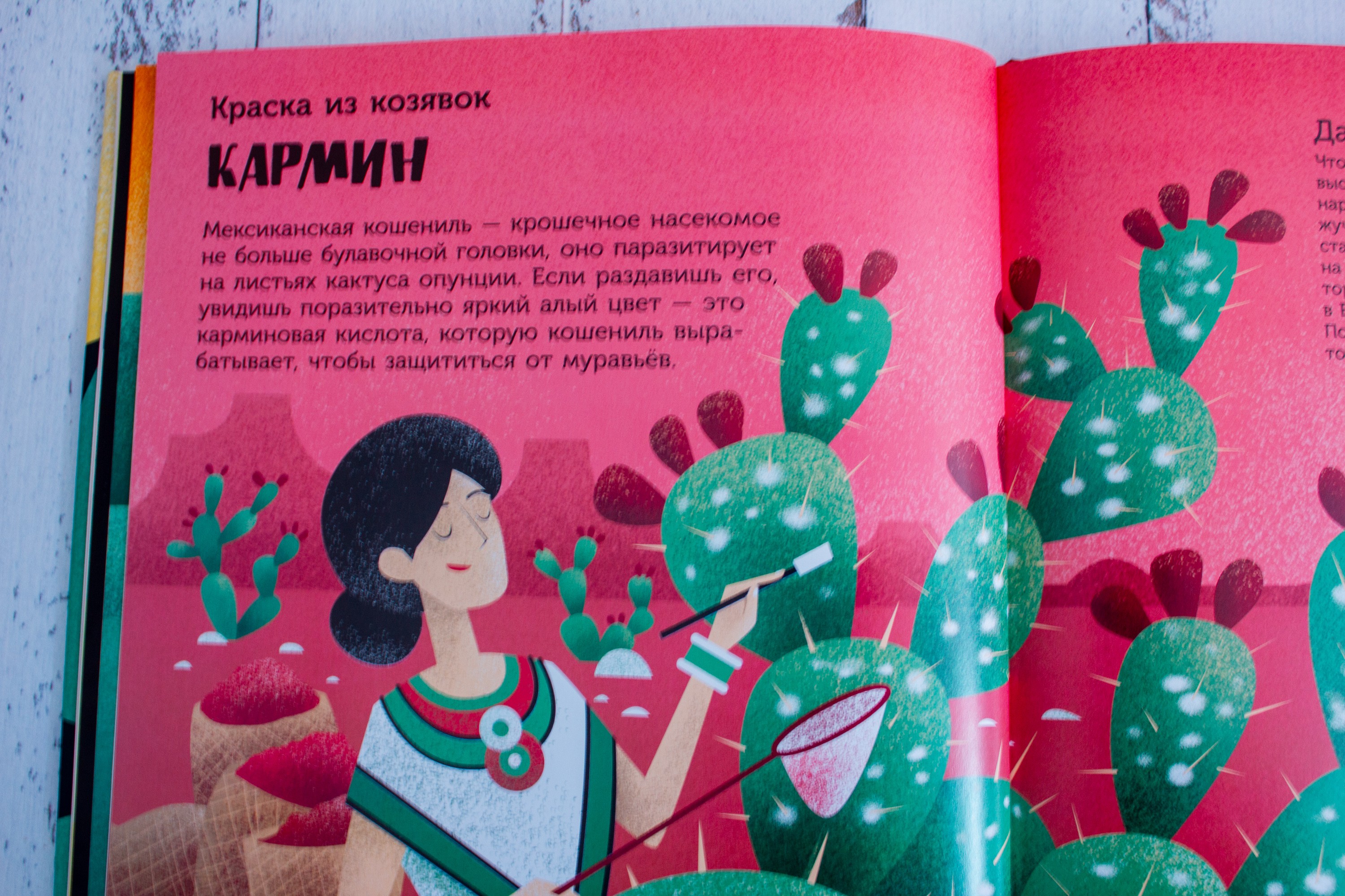 Книга Лабиринт Цвет в истории История цвета - фото 3