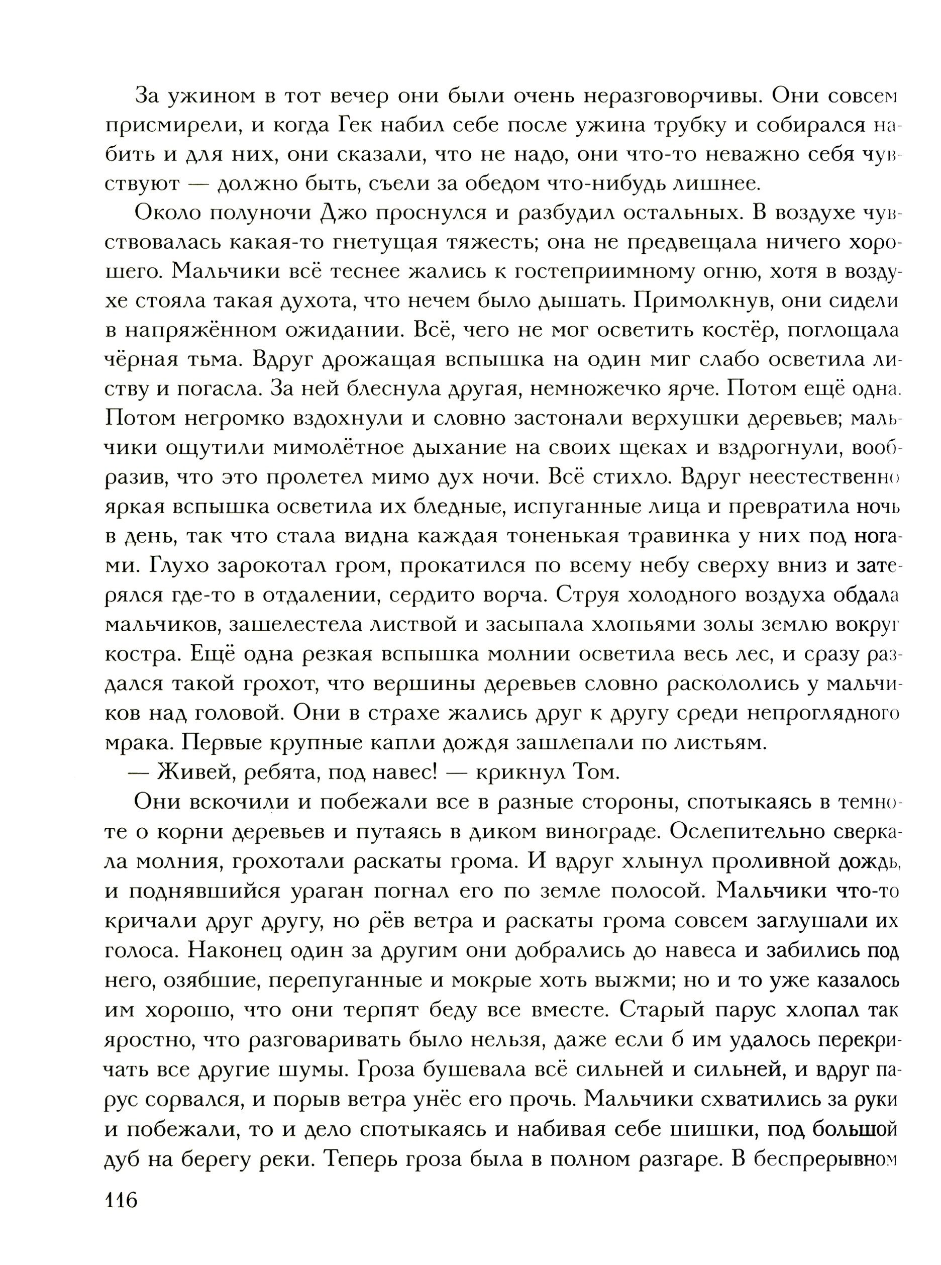 Книга Стрекозa Приключения Тома Сойера - фото 6