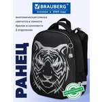 Ранец Brauberg тигр