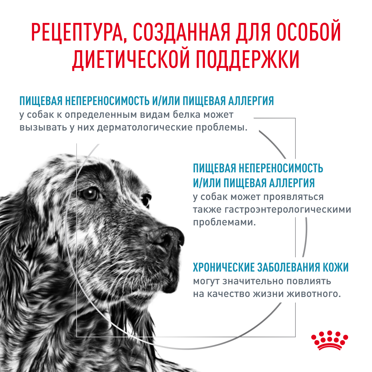 Корм для собак ROYAL CANIN Hypoallergenic для взрослых при пищевой аллергии 1.5кг - фото 4