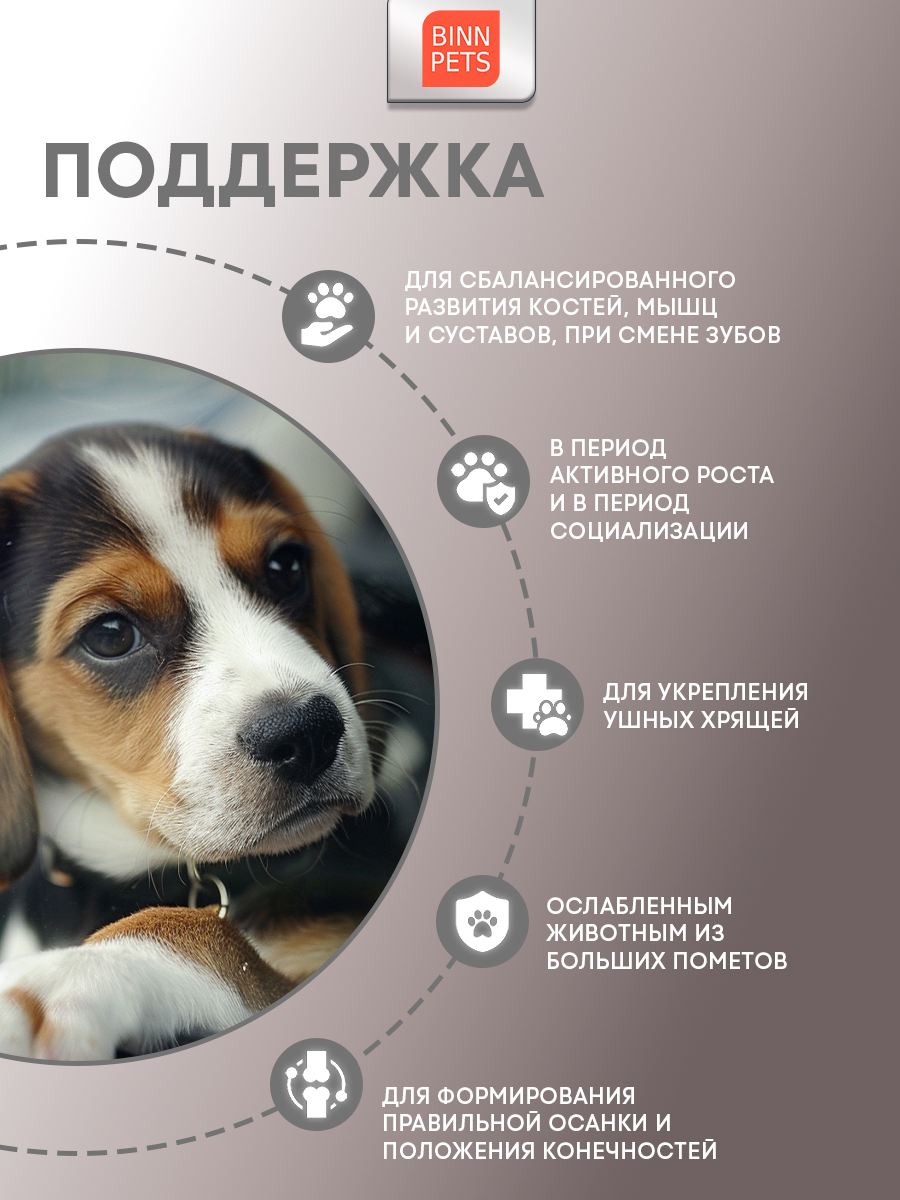 Морской коллаген PETS BIN Раскрытие потенциала 70 г пакет - фото 5