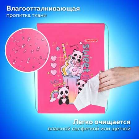 Мешок для обуви Пифагор