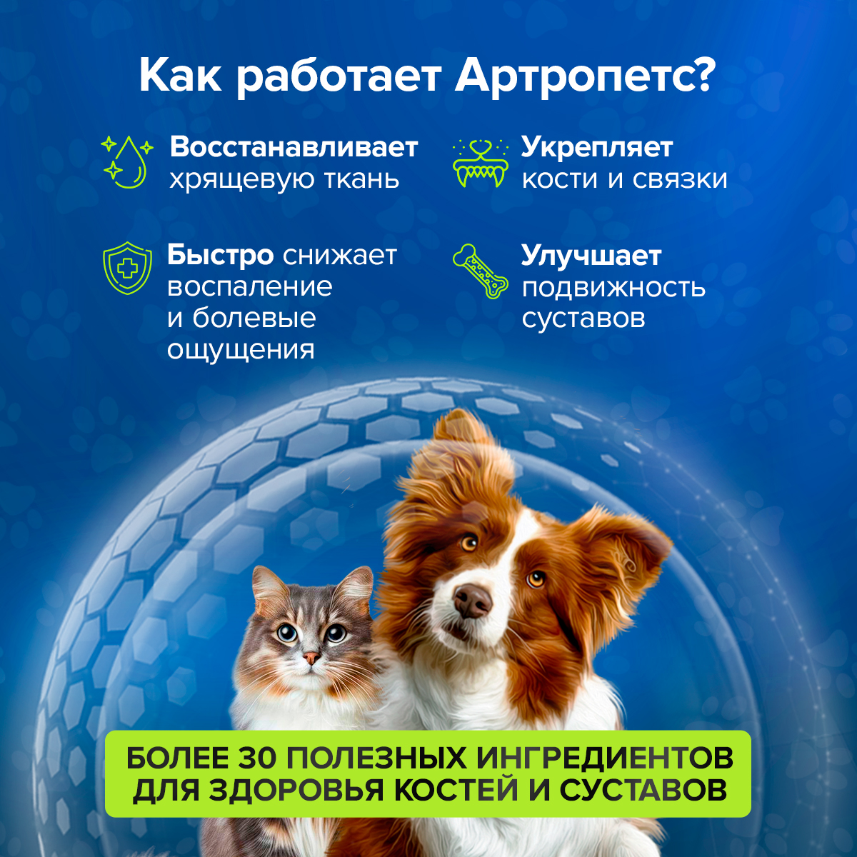 Корм для животных Pets health для укрепления костей и суставов собак и кошек глюкозамин хондроитин мсм - фото 2