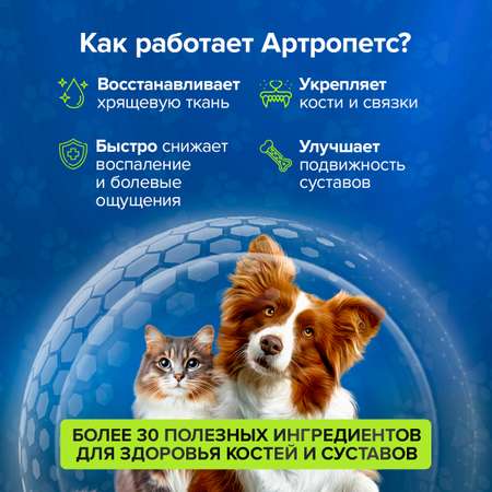 Корм для животных Pets health для укрепления костей и суставов собак и кошек глюкозамин хондроитин мсм