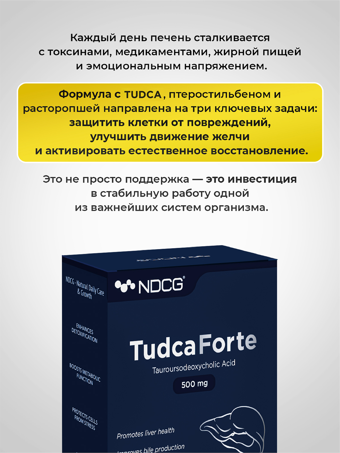 Forte NDCG Тудка - фото 6