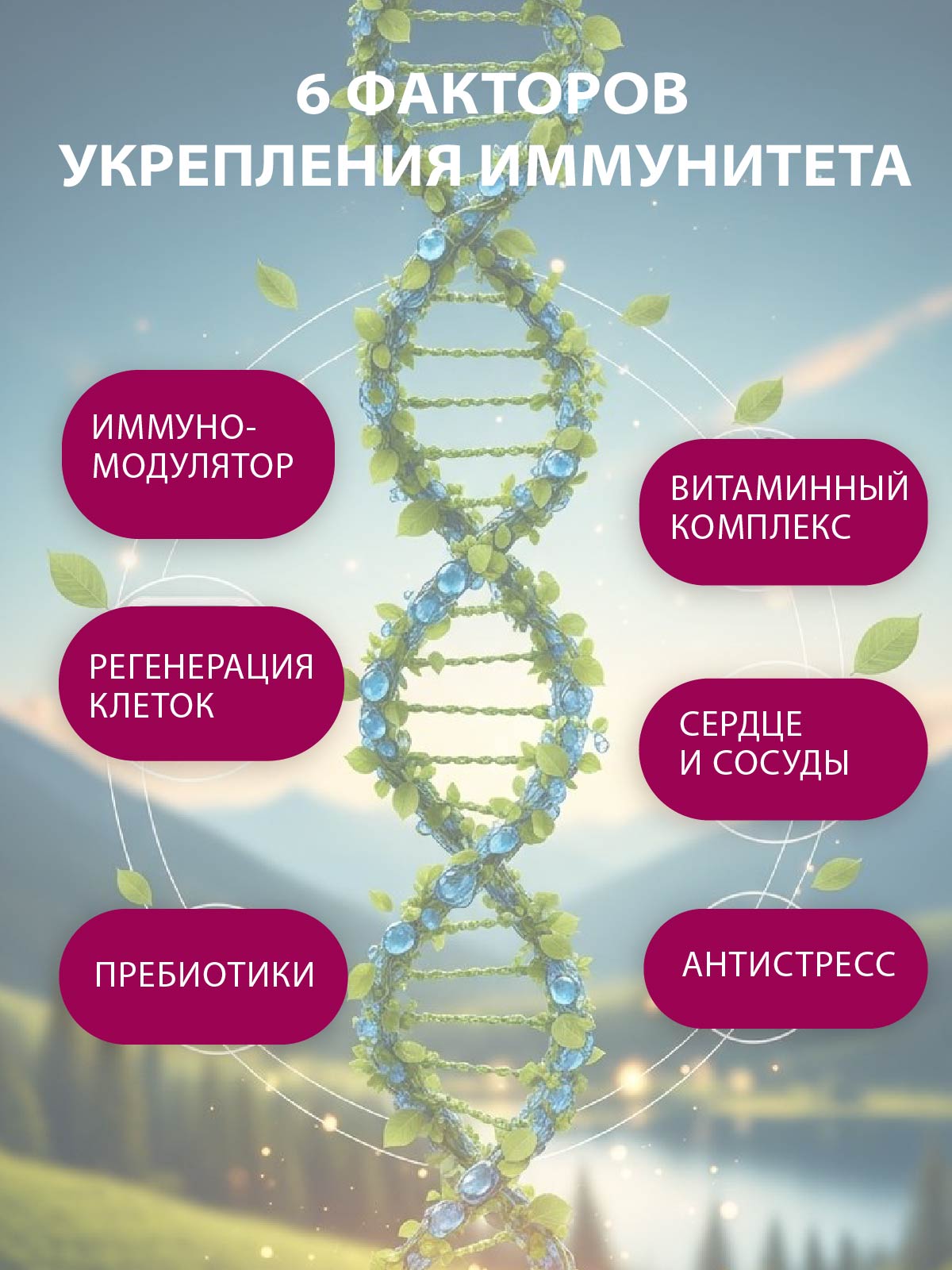 Коктейль для Иммунитета Вастэко с Кордицепсом Алоэ витаминами и пребиотиками - фото 8