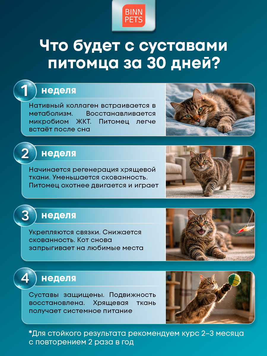 Морской коллаген PETS BIN Суставы и кости 25 г - фото 7