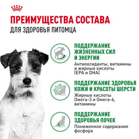 Корм для собак ROYAL CANIN Mini Ageing 12+ для стареющих собак мелких размеров 85г