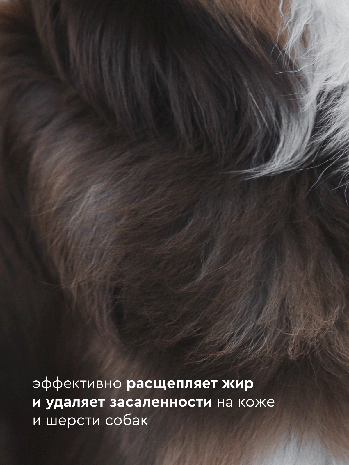 Шампунь для собак ProAnimal 1:50 ExtraClean Универсальный профессиональный очищающий - фото 8