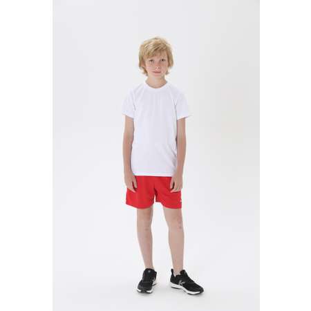 Шорты KELME
