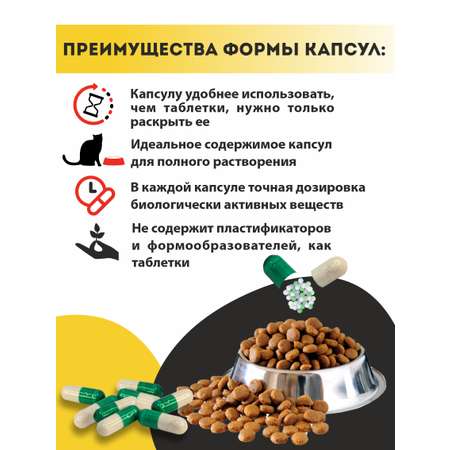 Витаминный комплекс ALTAI ANIMAL для кошек Здоровые суставы крепкие кости