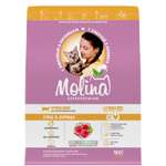 Корм для кошек Molina с уткой и курицей 400г