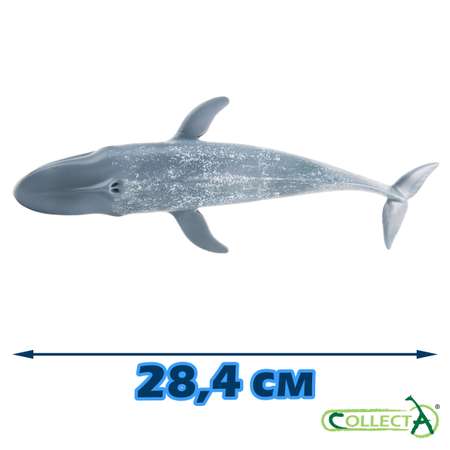 Игровой набор Collecta Морские обитатели, 5 шт, №1