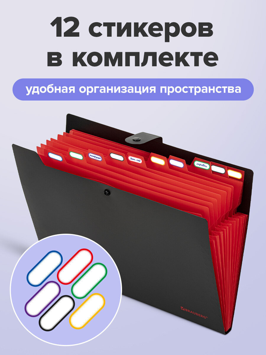 Папка-органайзер Brauberg А4 - фото 3