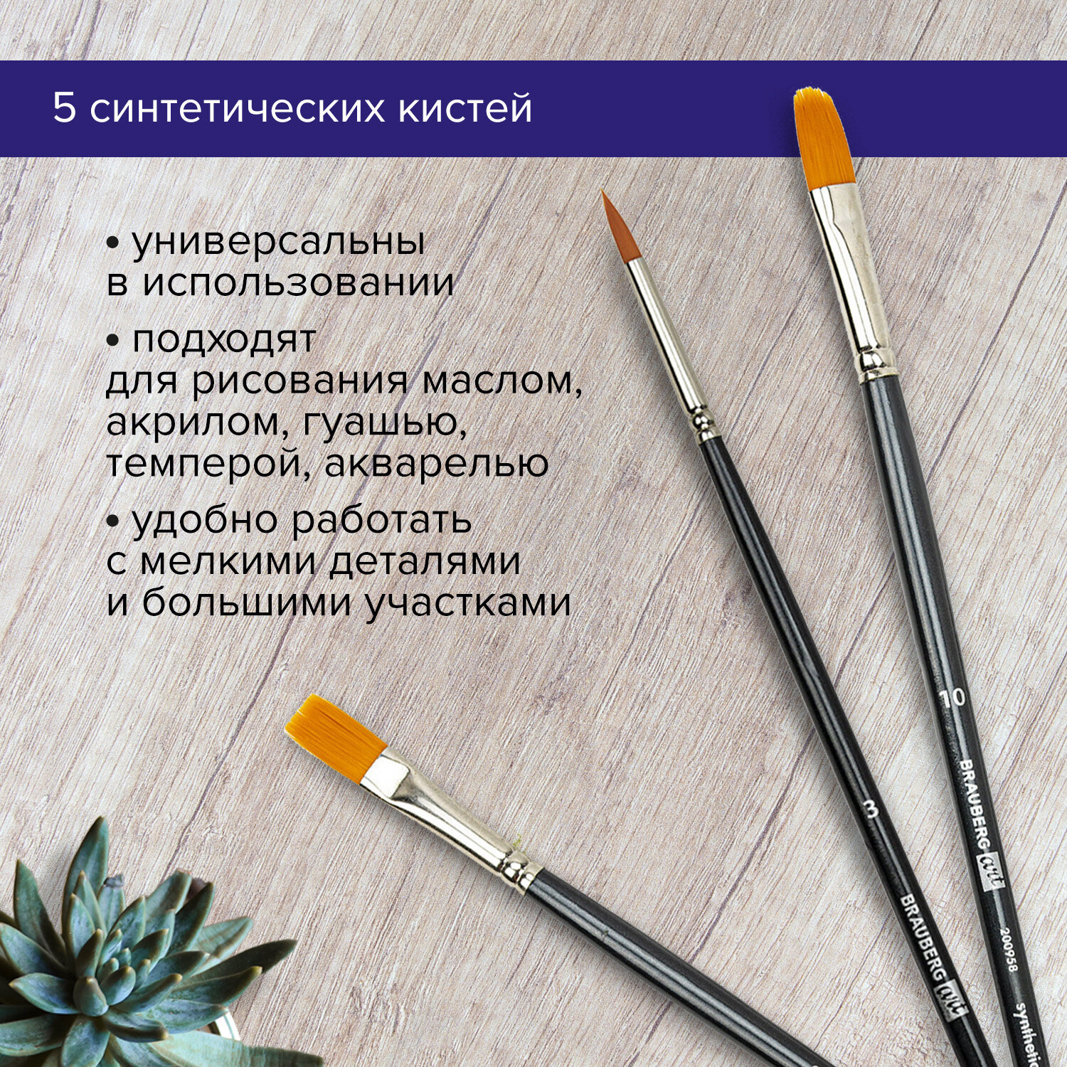 Кисть Brauberg 5 шт. (синтетика) - фото 2