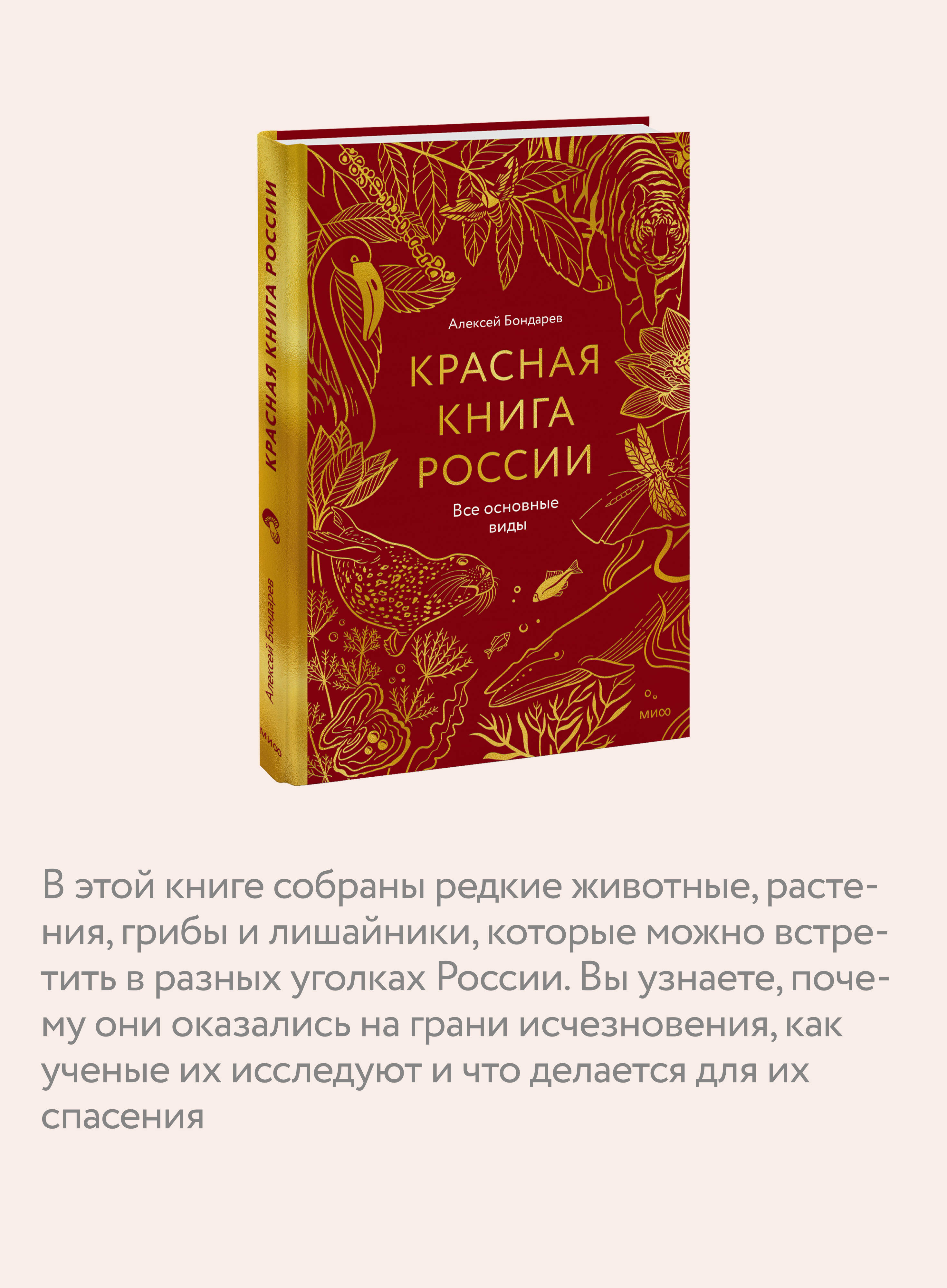 Книга Миф Красная книга России Все основные виды - фото 4