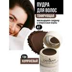 Тонирующая пудра GREENAURUM коричневая 2 спонжа