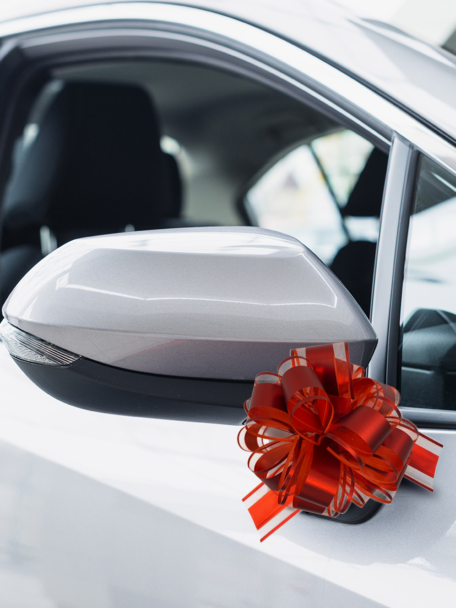 Банты AXLER набор бантиков для подарков 4 шт на липучке - фото 8