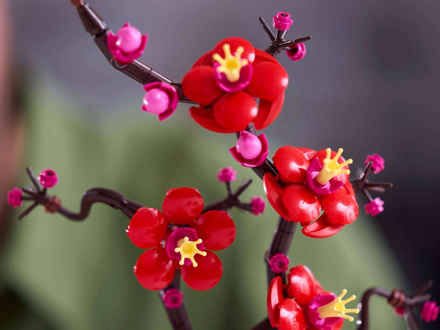 Конструктор LEGO Botanicals Цветение сливы 10369 327 дет. - фото 3