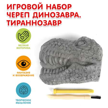 Набор для раскопок Huada Toys Парк Динозавров