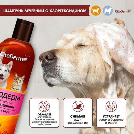 Шампунь для животных CitoDerm с хлоргексидином 200мл