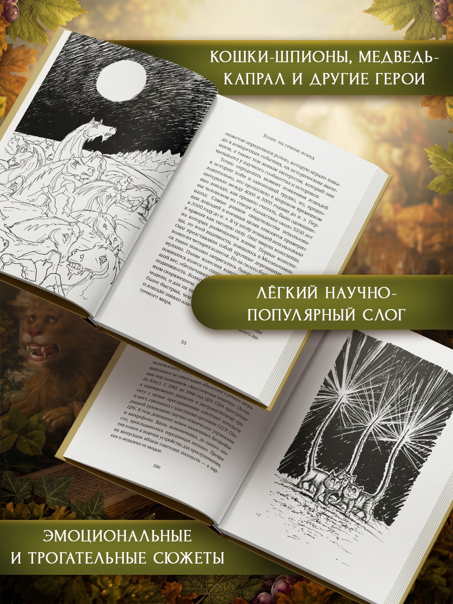 Книга КОЛИБРИ ИстИнт Патье Ж Шону Э Животные Герои истории - фото 6