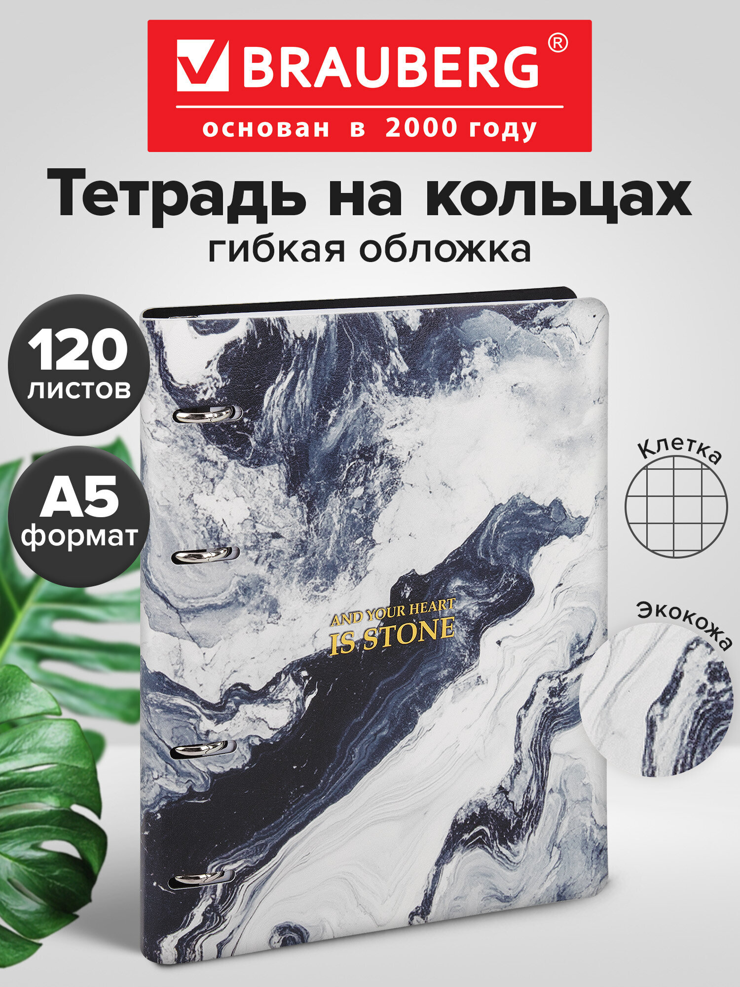 Тетрадь со сменным блоком Brauberg клетка 120 лист. - фото 1