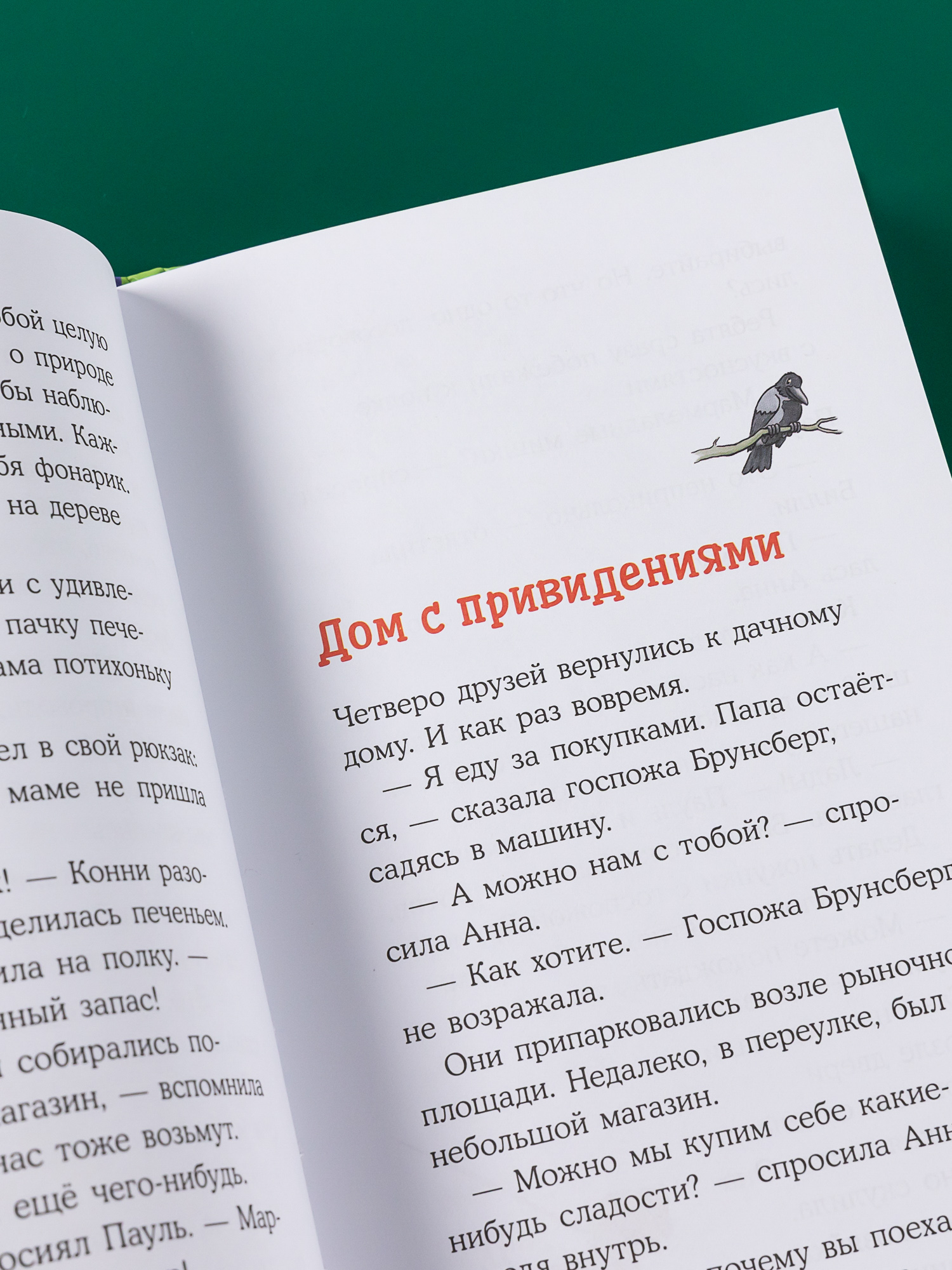 Книга Альпина. Дети Домик на дереве - фото 7