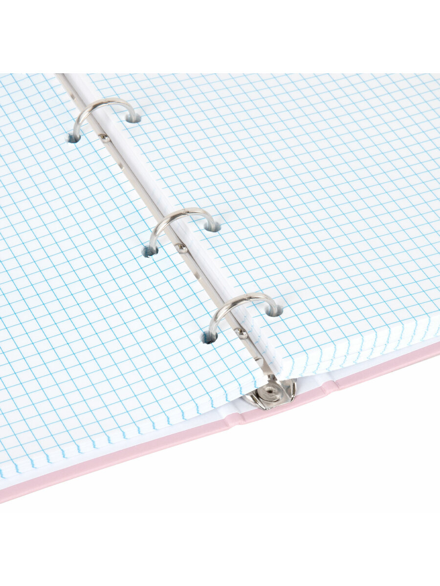 Тетрадь со сменным блоком Brauberg клетка 120 лист. - фото 9