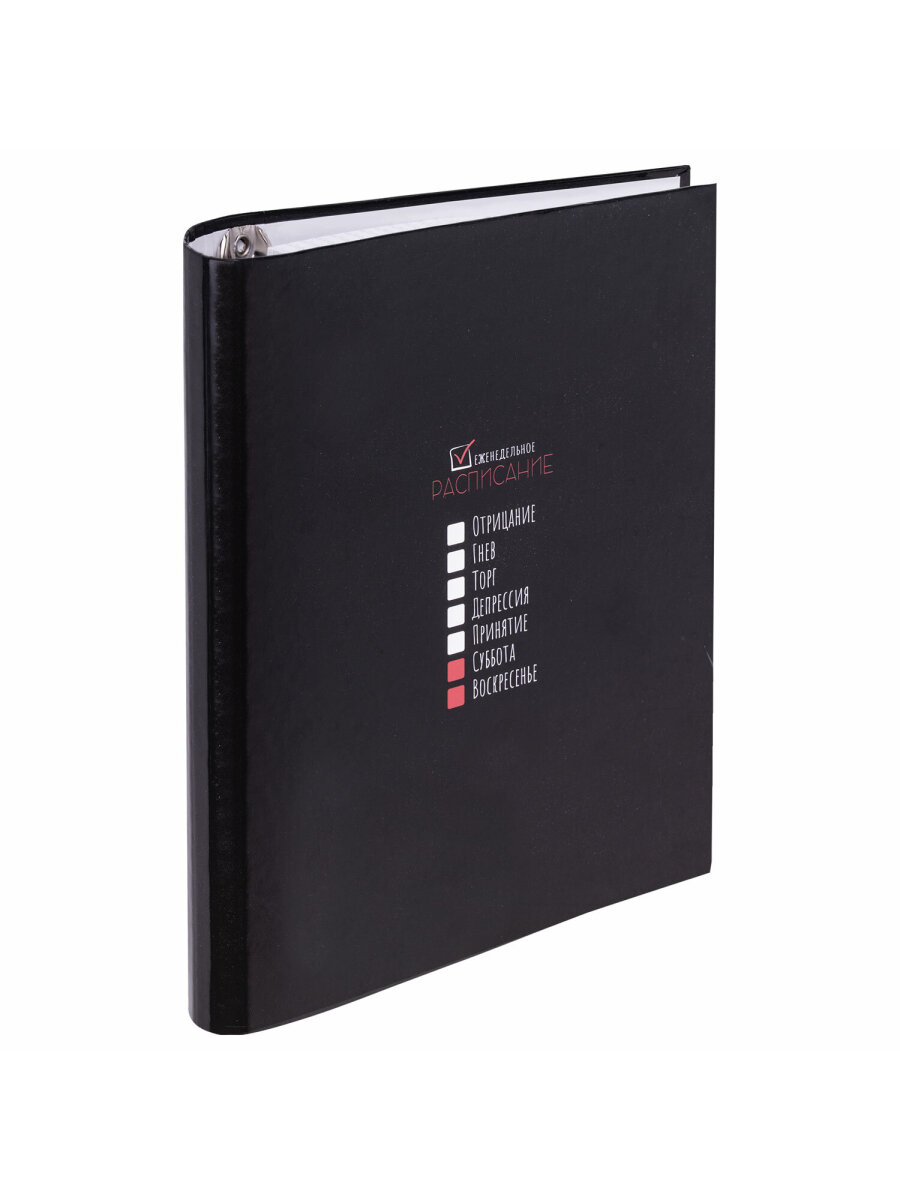 Тетрадь со сменным блоком Brauberg клетка 120 лист. - фото 3