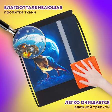 Мешок для обуви Юнландия
