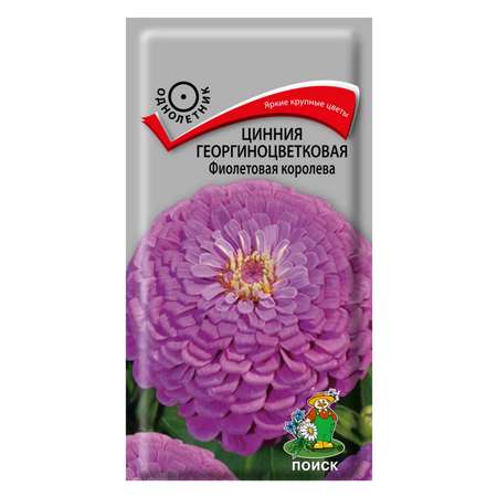 Цинния . георгиноцветковая Фиолетовая королева 0.4г