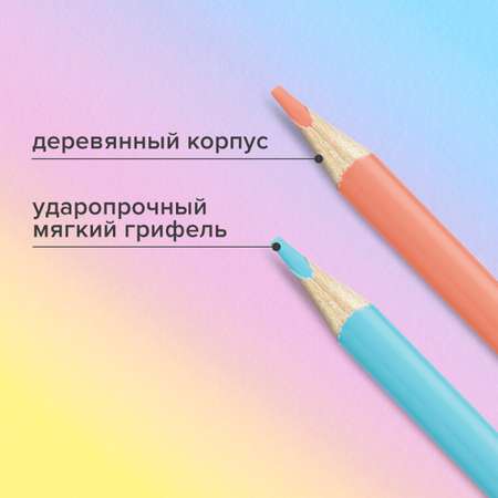 Карандаши цветные Brauberg 24 шт.