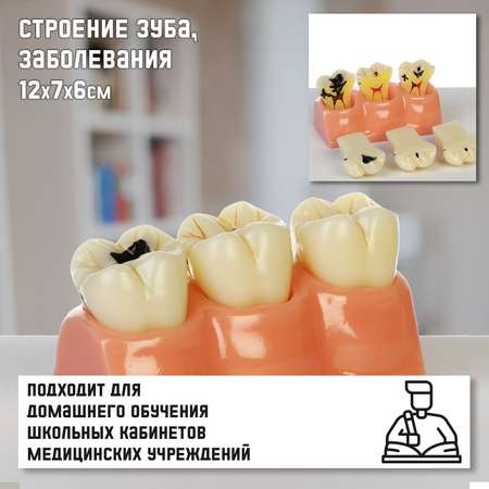 Наглядное пособие Sima-Land