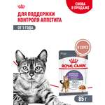 Корм для кошек ROYAL CANIN Care Аппетайт контроль соус пауч 85г