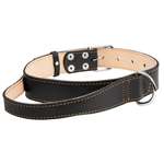 Ошейник для собак CoLLar крупных пород двойной с ручкой Черный 02991